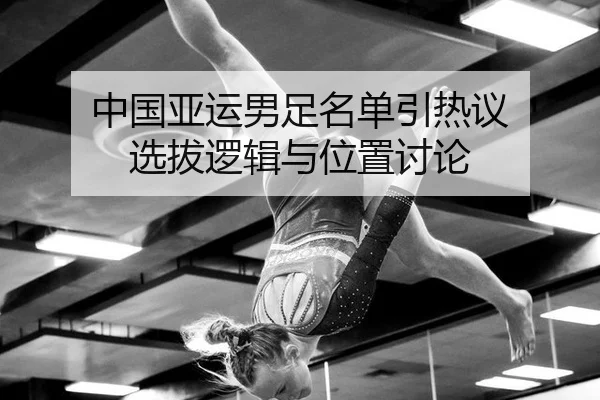 zhong-guo-ya-yun-nan-zu-ming-dan-yin-re-yi-xuan-ba-luo-ji-yu-wei-zhi-tao-lun-2-286.jpg